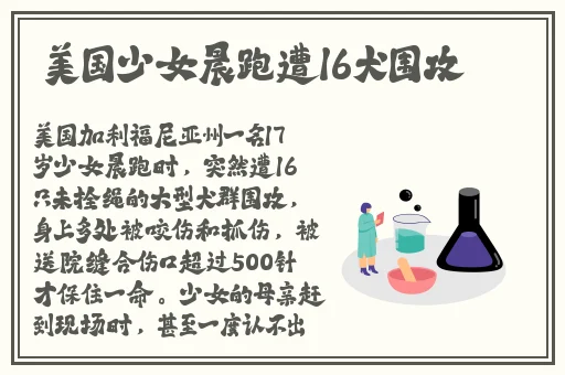 欧美BBB槡