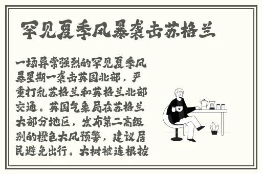 **网国产A